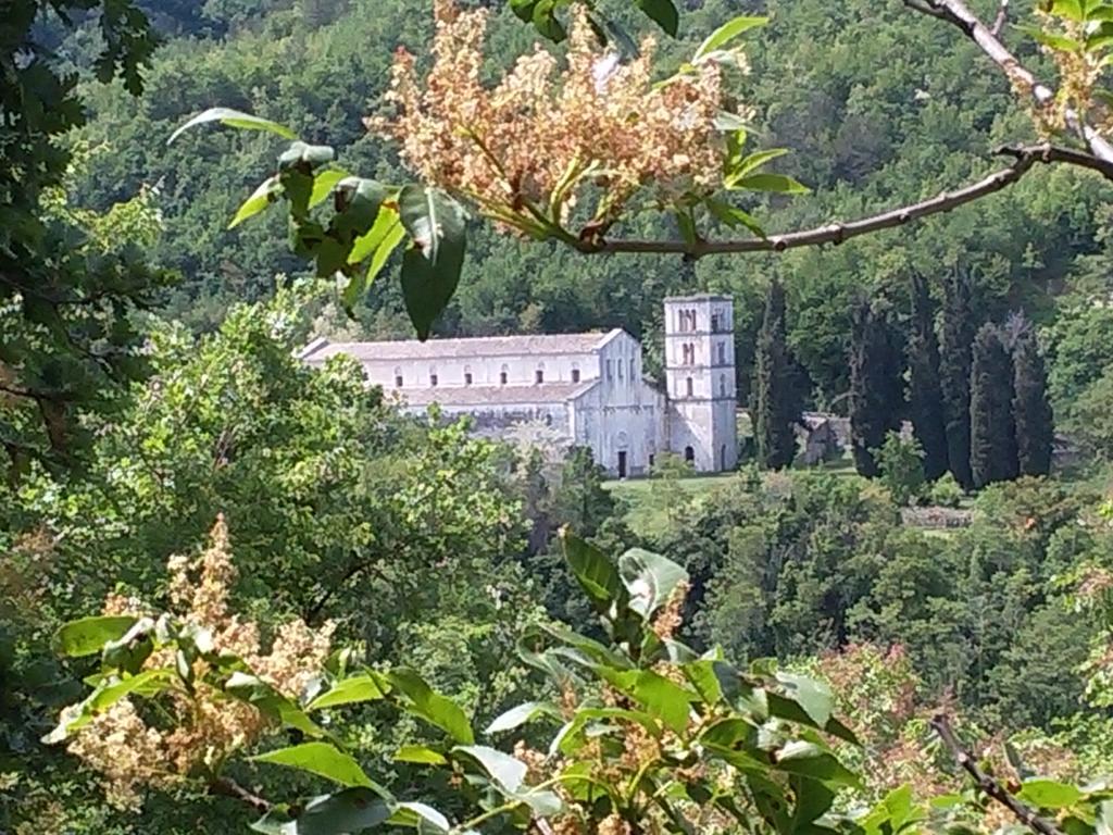 Roccamontepiano Le Pietre Ricce B&B מראה חיצוני תמונה